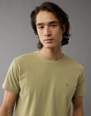AE Lived-In Slim T-Shirt