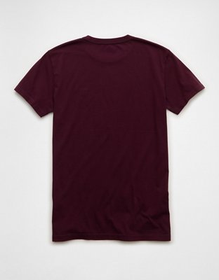 AE Lived-In Slim Fit T-Shirt