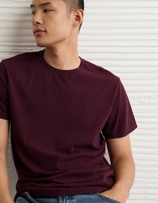 AE Lived-In Slim Fit T-Shirt