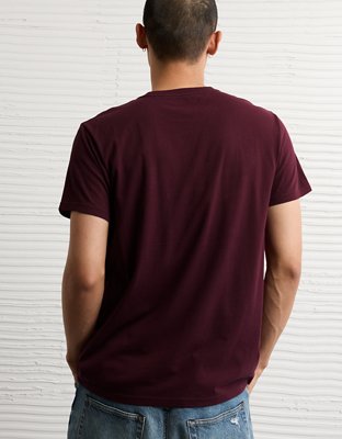 AE Lived-In Slim Fit T-Shirt