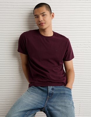 AE Lived-In Slim Fit T-Shirt