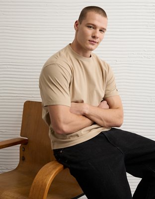 AE Standard Fit Lived-In T-Shirt