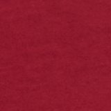 Holiday Red