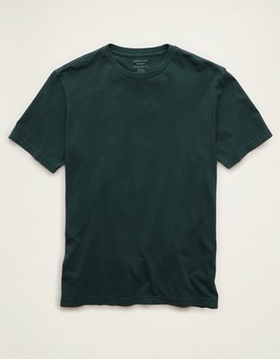 AE Standard Fit Lived-In T-Shirt