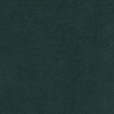 Sharp Green