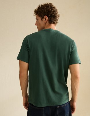 AE Standard Fit Lived-In T-Shirt
