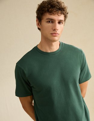 AE Standard Fit Lived-In T-Shirt