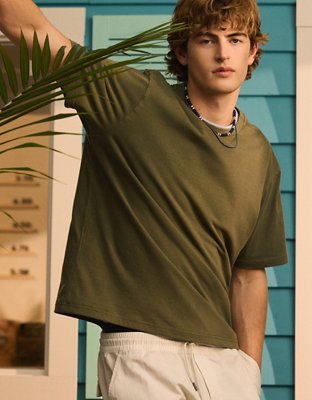 AE Standard Fit Lived-In T-Shirt