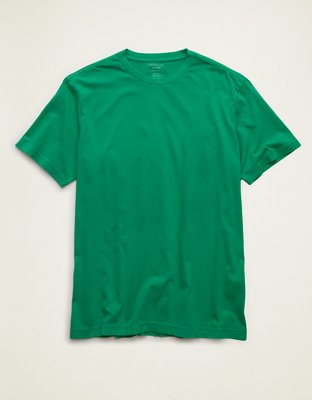 AE Standard Fit Lived-In T-Shirt