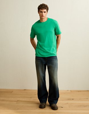 AE Standard Fit Lived-In T-Shirt