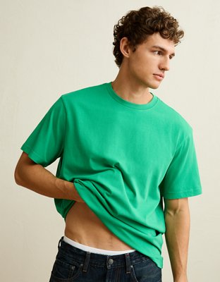 AE Standard Fit Lived-In T-Shirt