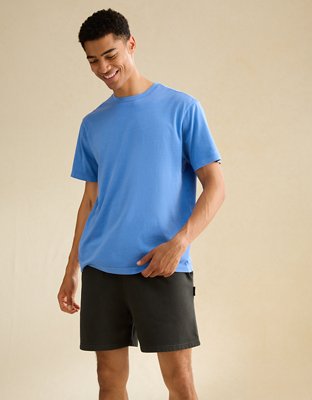 AE Standard Fit Lived-In T-Shirt