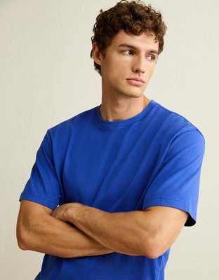 AE Standard Fit Lived-In T-Shirt