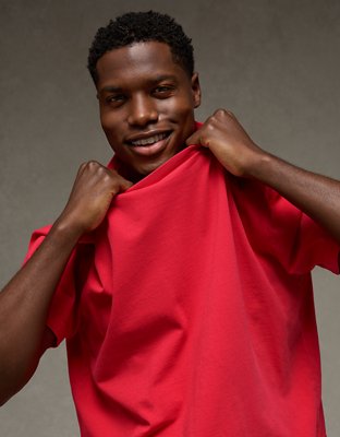 AE Standard Fit Lived-In T-Shirt