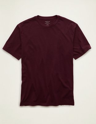 AE Standard Fit Lived-In T-Shirt