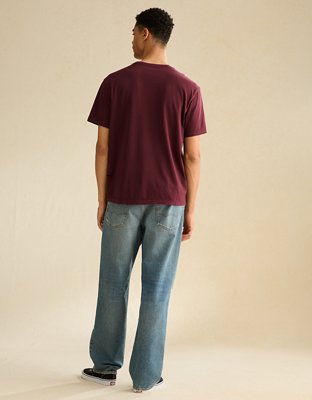 AE Standard Fit Lived-In T-Shirt