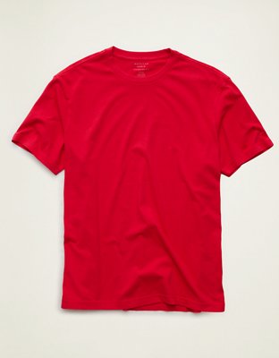 AE Standard Fit Lived-In T-Shirt