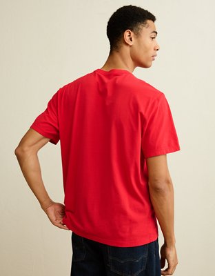 AE Standard Fit Lived-In T-Shirt