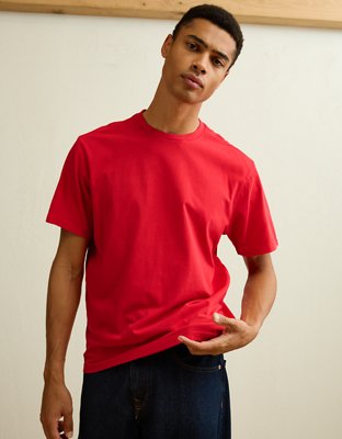 AE Standard Fit Lived-In T-Shirt