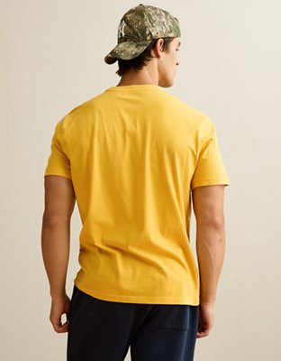 AE Standard Fit Lived-In T-Shirt