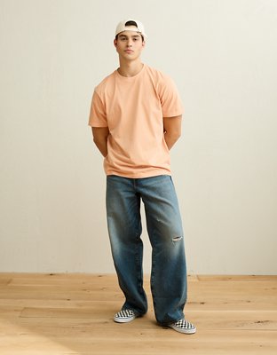 AE Standard Fit Lived-In T-Shirt