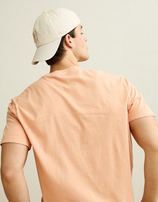 AE Standard Fit Lived-In T-Shirt