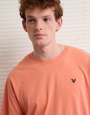 AE Lightweight Icon T-Shirt