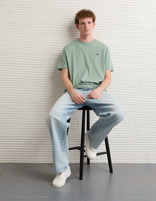 AE Lightweight Icon T-Shirt