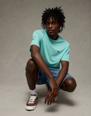 AE Lightweight Icon T-Shirt