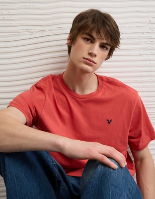 AE Lightweight Icon T-Shirt