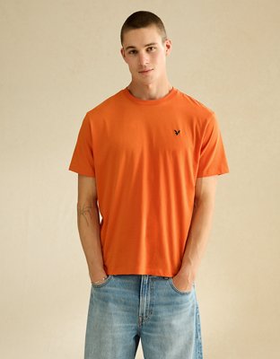 AE Standard Fit Lightweight Logo T-Shirt