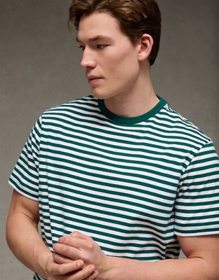 AE Standard Fit Lived-In T-Shirt