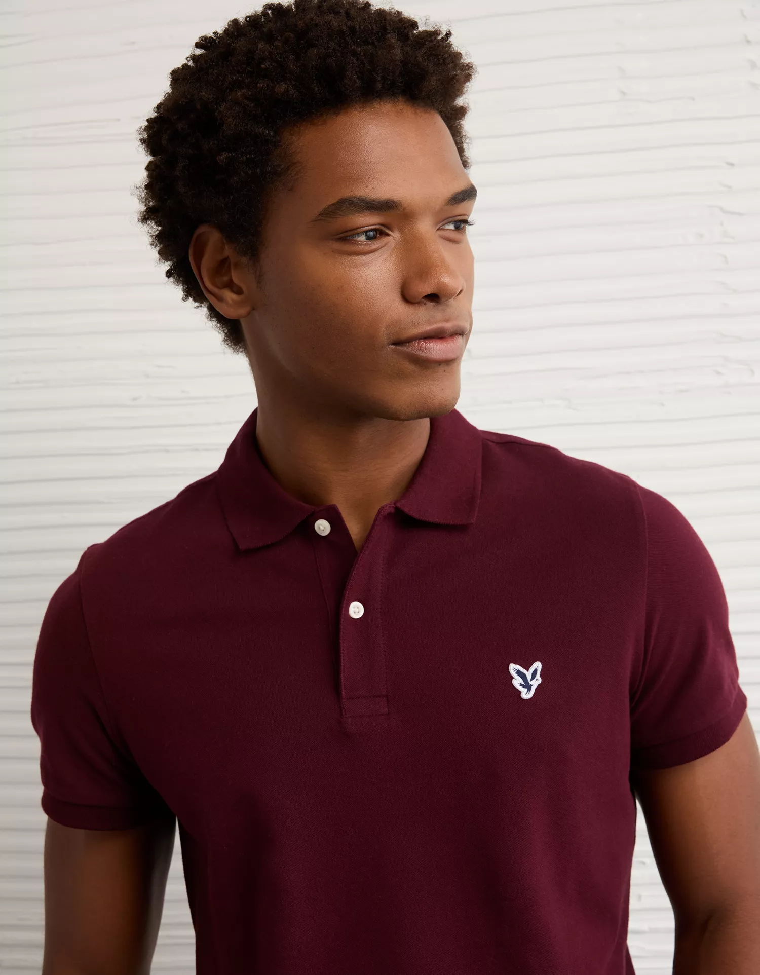 AE Lived-In Slim Fit Pique Polo Shirt - thumbnail 6