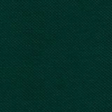 Deep Forest Green