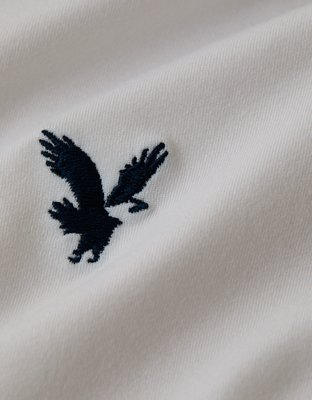 AE Standard Fit Performance Polo Shirt
