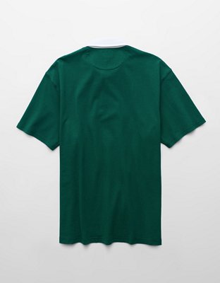 AE Standard Fit Graphic Polo Shirt