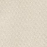 Bone Khaki