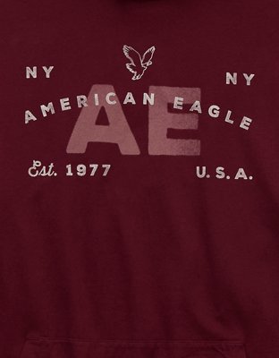 AE Logo Graphic Hoodie T-Shirt