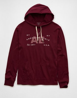 AE Logo Graphic Hoodie T-Shirt