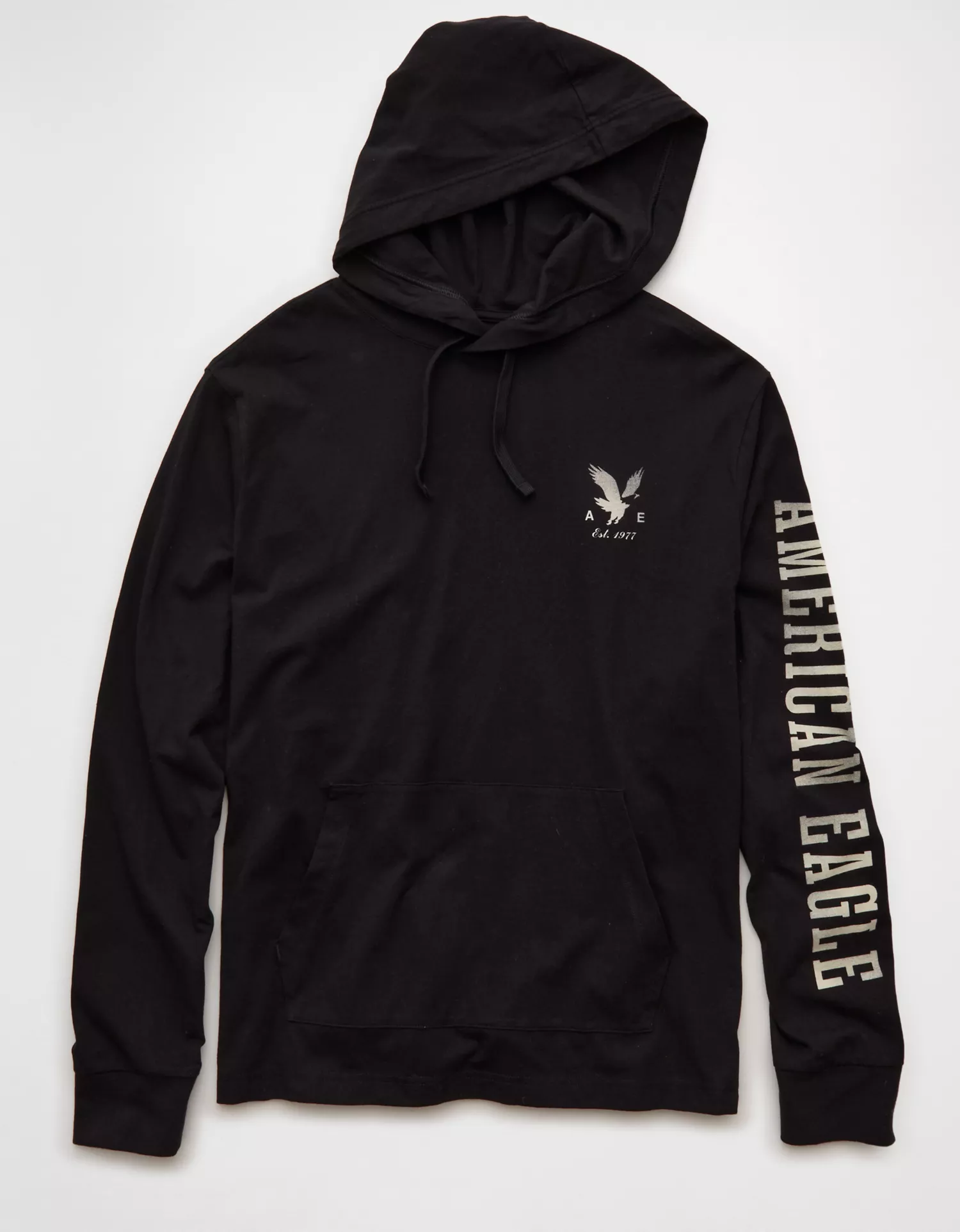 AE Standard Fit Lightweight Logo Graphic Hoodie T-Shirt - thumbnail 8
