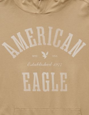 AE Lightweight Icon Logo Graphic Hoodie T-Shirt