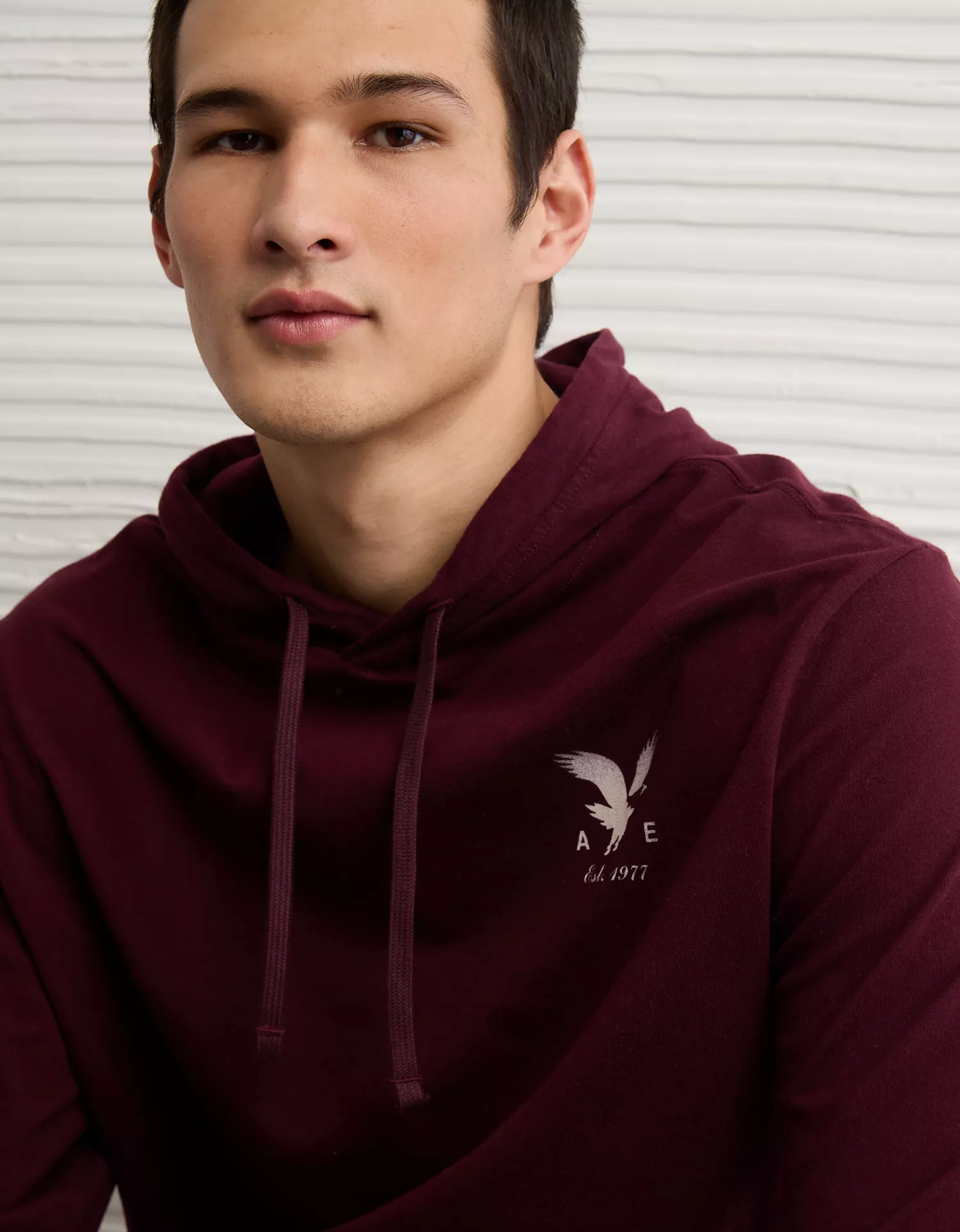 AE Standard Fit Lightweight Logo Graphic Hoodie T-Shirt - thumbnail 5