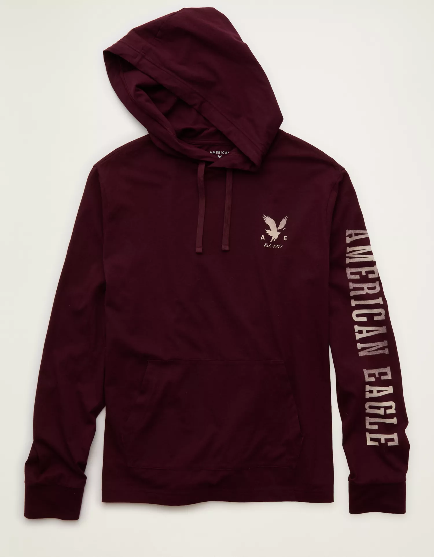 AE Standard Fit Lightweight Logo Graphic Hoodie T-Shirt - thumbnail 3