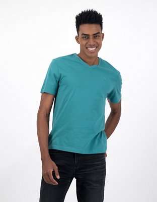 AE Lived-In T-Shirt