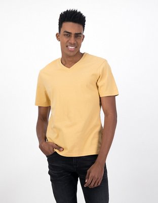 AE Butler V-Neck T-Shirt
