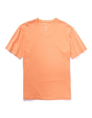 Мужские футболки American Eagle AE Short-Sleeve V-Neck T-Shirt — фото 3