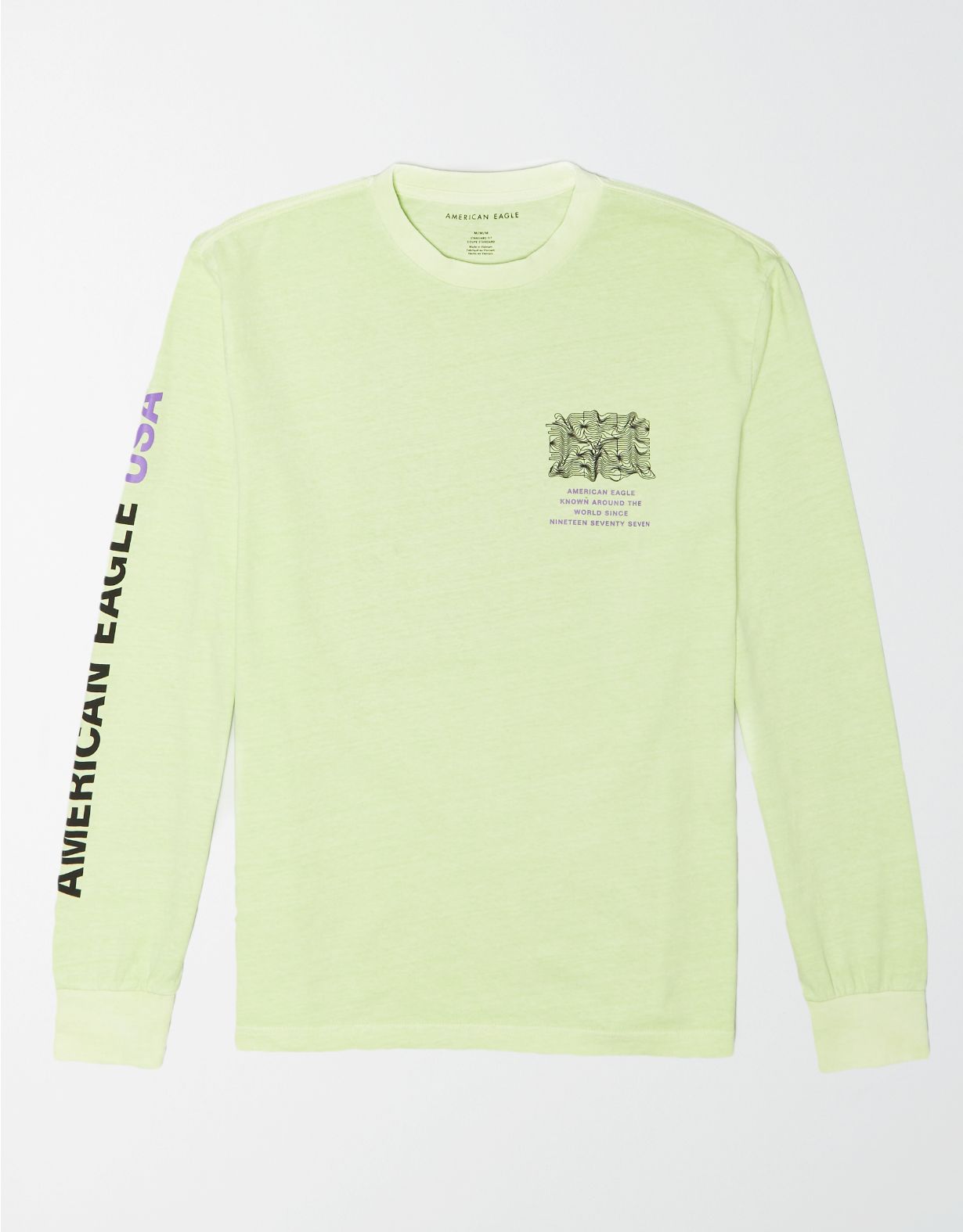 AE Vintage Wash Long-Sleeve Graphic T-Shirt