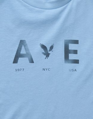 AE Icon Long-Sleeve T-Shirt