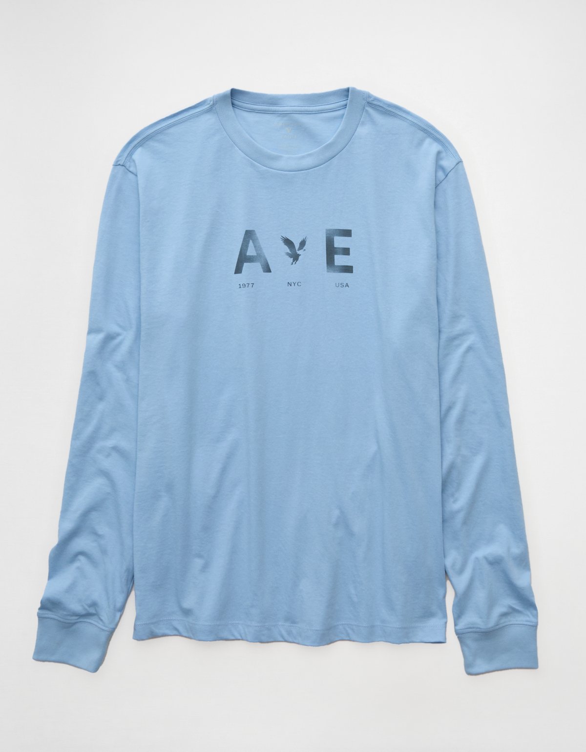 AE Icon Long-Sleeve T-Shirt - image 3