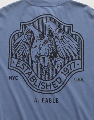 AE Boxy Long Sleeve Graphic T-Shirt